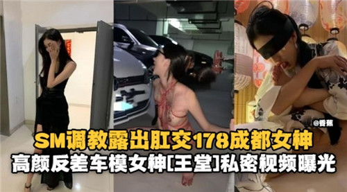 成都女神高颜值反差车模SM调教露出肛交私密视频178号激情曝光